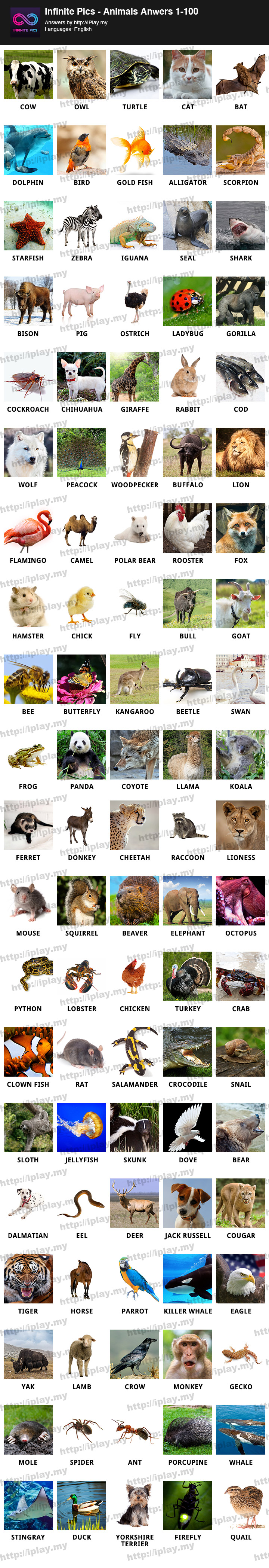 Infinite-Pics-Animals-Answers-1-100